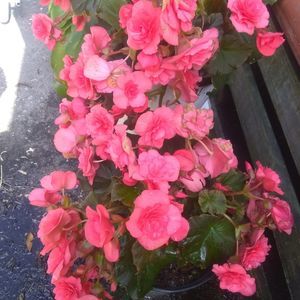 Meet your Posher, María del